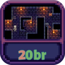 20br