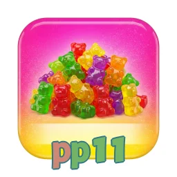 pp11